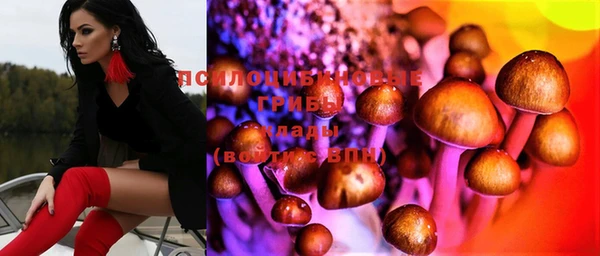 мяу мяу мука Корсаков