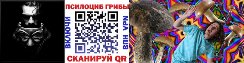 мега как войти  Магас  Галлюциногенные грибы Psilocybine cubensis 